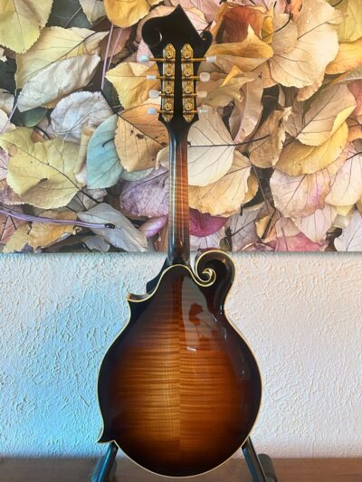 Flatiron F5 Artist Mandolin