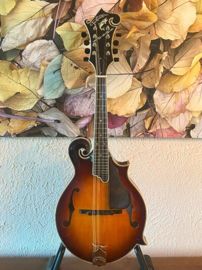 Tailwater TW-F5 Mandolin