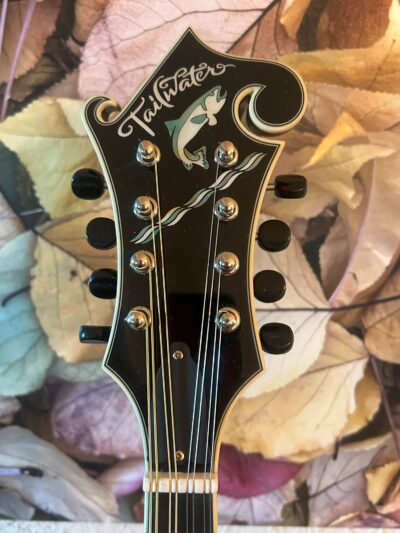 Tailwater TW-F5 Mandolin
