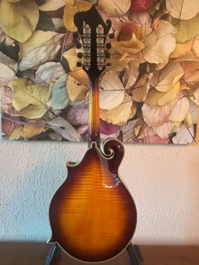 Tailwater TW-F5 Mandolin