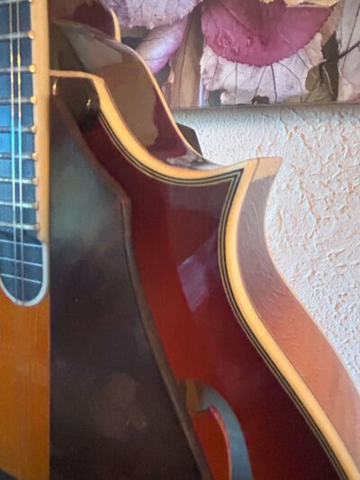 Tailwater TW-F5 Mandolin