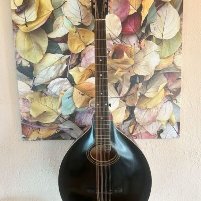 Gibson K1 Mandocello