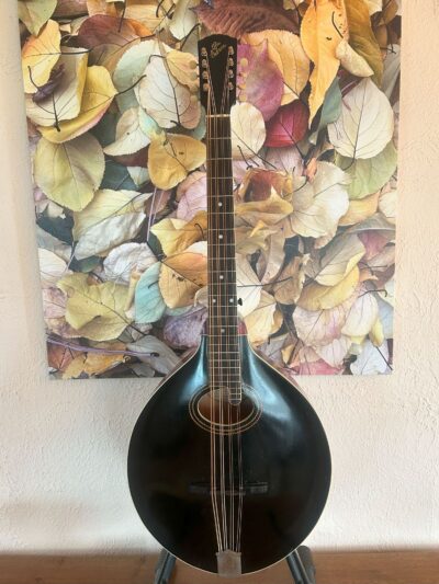 Gibson K1 Mandocello