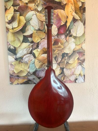 Gibson K1 Mandocello