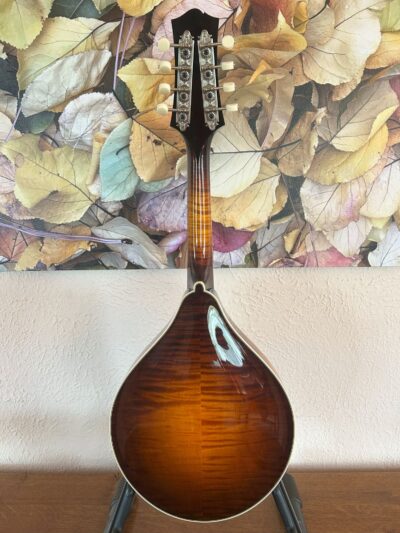 Collings MT-O Mandolin