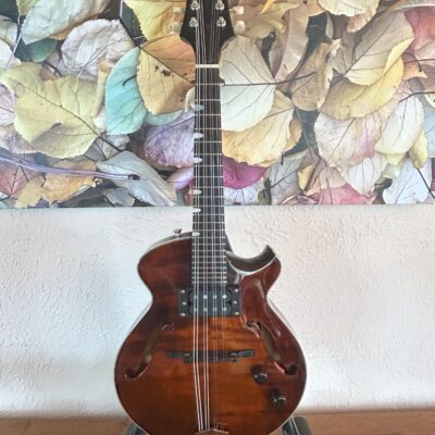 Eastman ER-M Electric Mandolin
