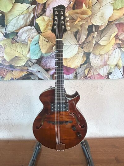 Eastman ER-M Electric Mandolin