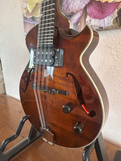 Eastman ER-M Electric Mandolin