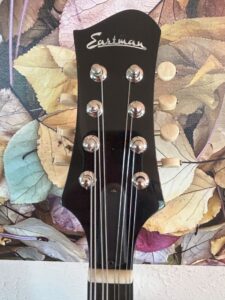 Eastman ER-M Electric Mandolin