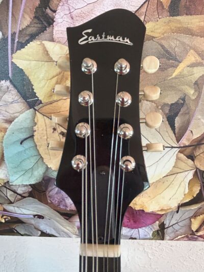 Eastman ER-M Electric Mandolin