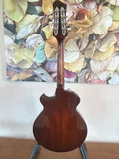 Eastman ER-M Electric Mandolin