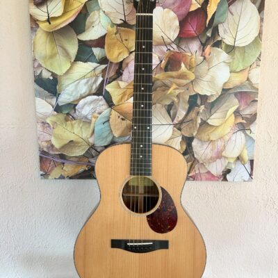 Eastman ACTG2E2 Travel Guitar