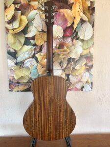 Eastman ACTG2E2 Travel Guitar