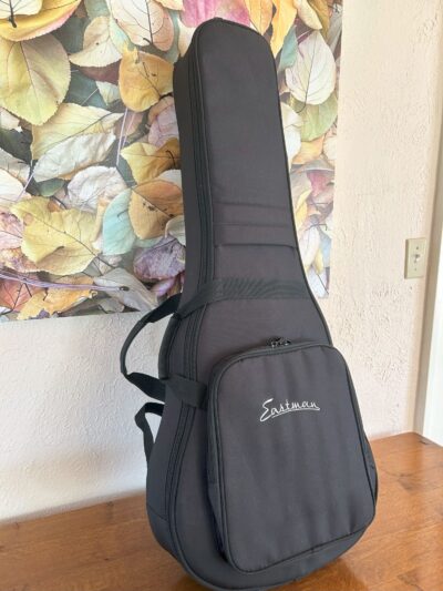 Eastman ACTG2E2 Travel Guitar