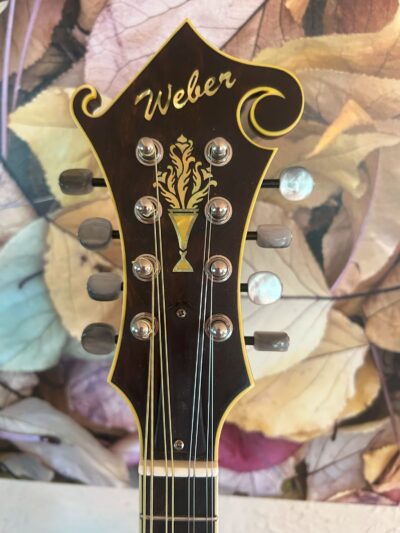 Weber Yellowstone F Mandolin