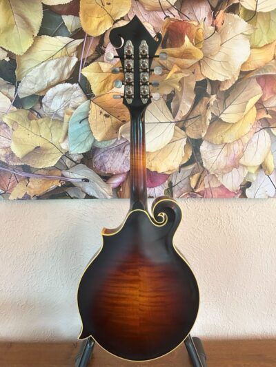 Weber Yellowstone F Mandolin