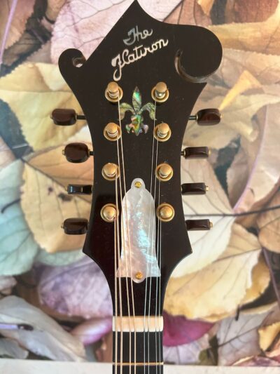 Flatiron Festival F Mandolin