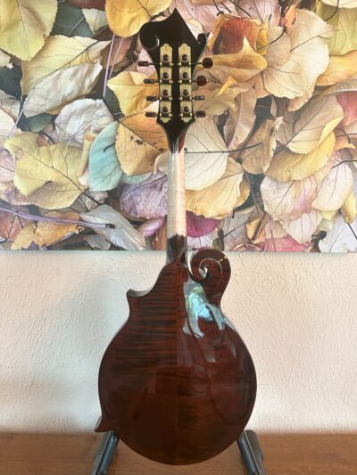 Flatiron Festival F Mandolin