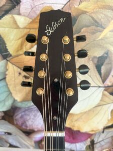 Gibson A9 Mandolin