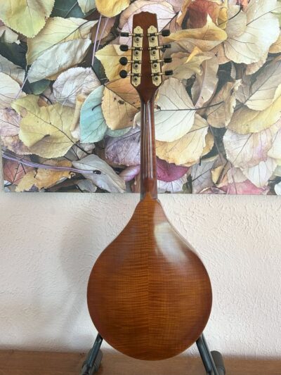 Gibson A9 Mandolin