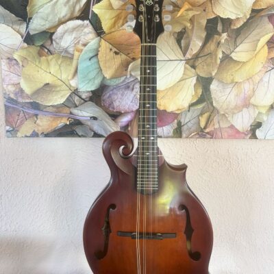 Weber Special Edition Mandolin