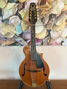 10 String Weber Bitterroot Mandolin