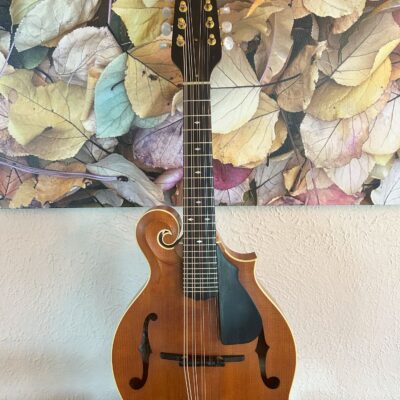 10 String Weber Bitterroot Mandolin