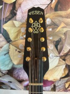 10 String Weber Bitterroot Mandolin
