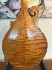 10 String Weber Bitterroot Mandolin