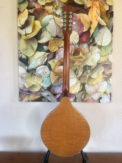 Weber Sage Octave Mandolin