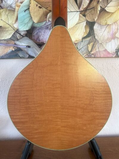 Weber Sage Octave Mandolin
