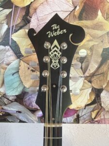 Weber Special Edition Mandolin