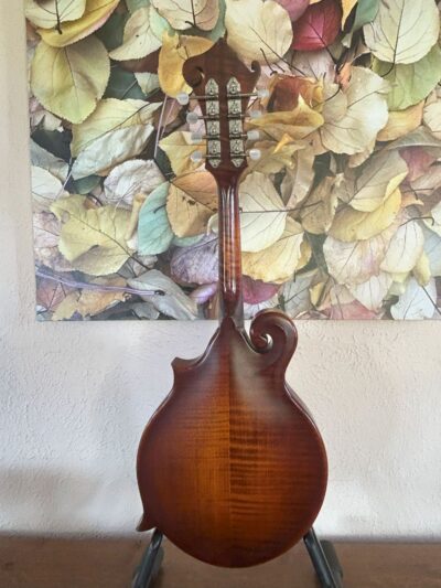Weber Special Edition Mandolin