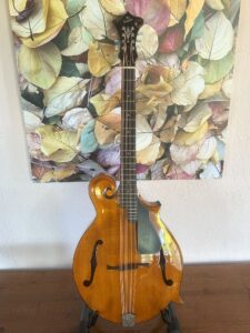 Weber Yellowstone Mandocello
