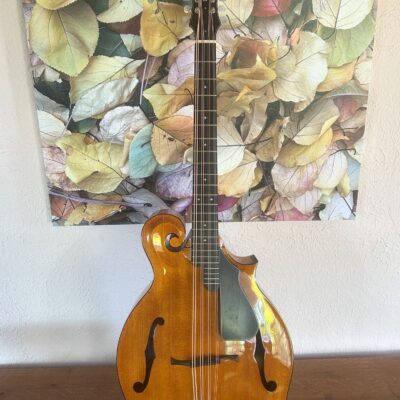Weber Yellowstone Mandocello