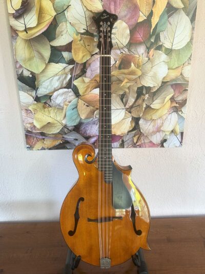 Weber Yellowstone Mandocello