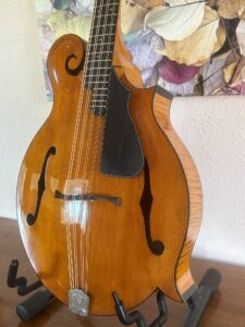 Weber Yellowstone Mandocello