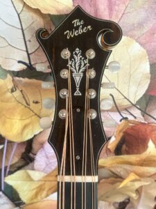 Weber Yellowstone Mandocello