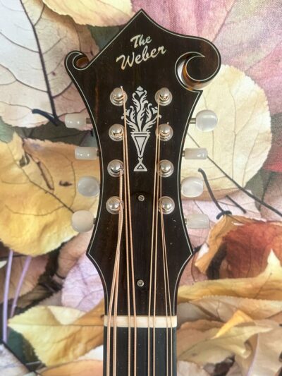 Weber Yellowstone Mandocello