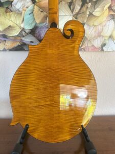 Weber Yellowstone Mandocello