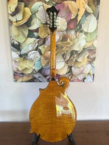 Weber Yellowstone Mandocello