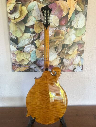 Weber Yellowstone Mandocello