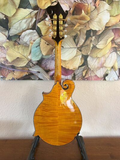 Gibson Gold Rush Mandolin