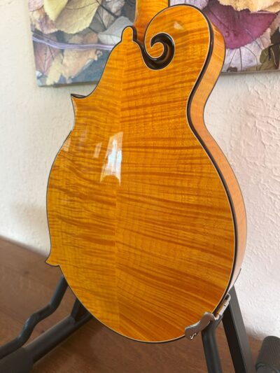 Gibson Gold Rush Mandolin