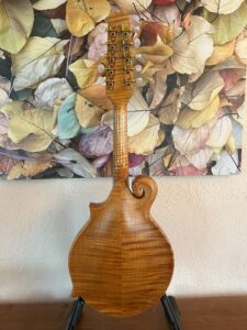 10 String Weber Bitterroot Mandolin