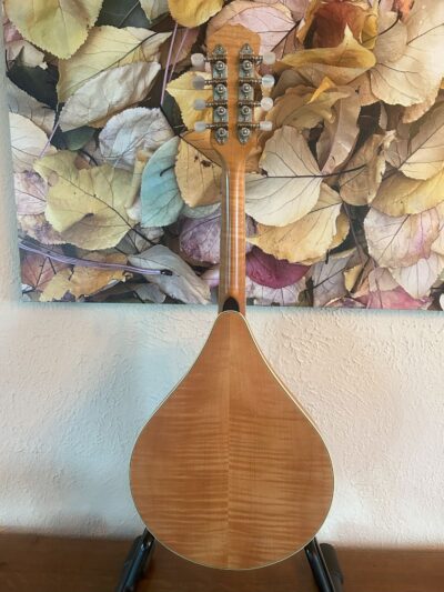Weber Aspen #2 Mandolin