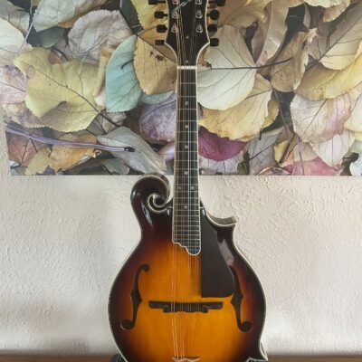 Tailwater TW-F5 Mandolin