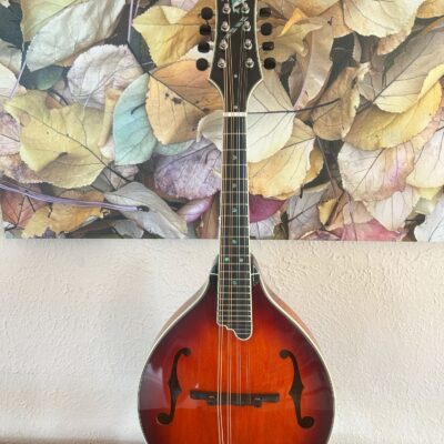 Tailwater A Mandolin