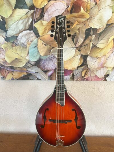 Tailwater A Mandolin