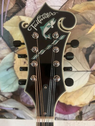 Tailwater TW-F5 Mandolin